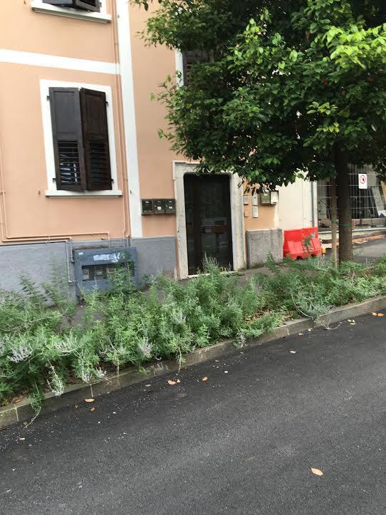 Appartamento I Sentieri 23 Riva del Garda Bagian luar foto